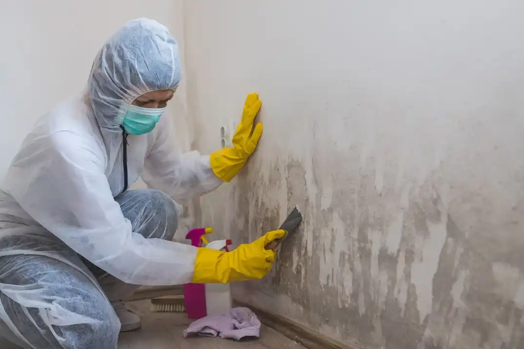 water damage restoration service South Treadaway